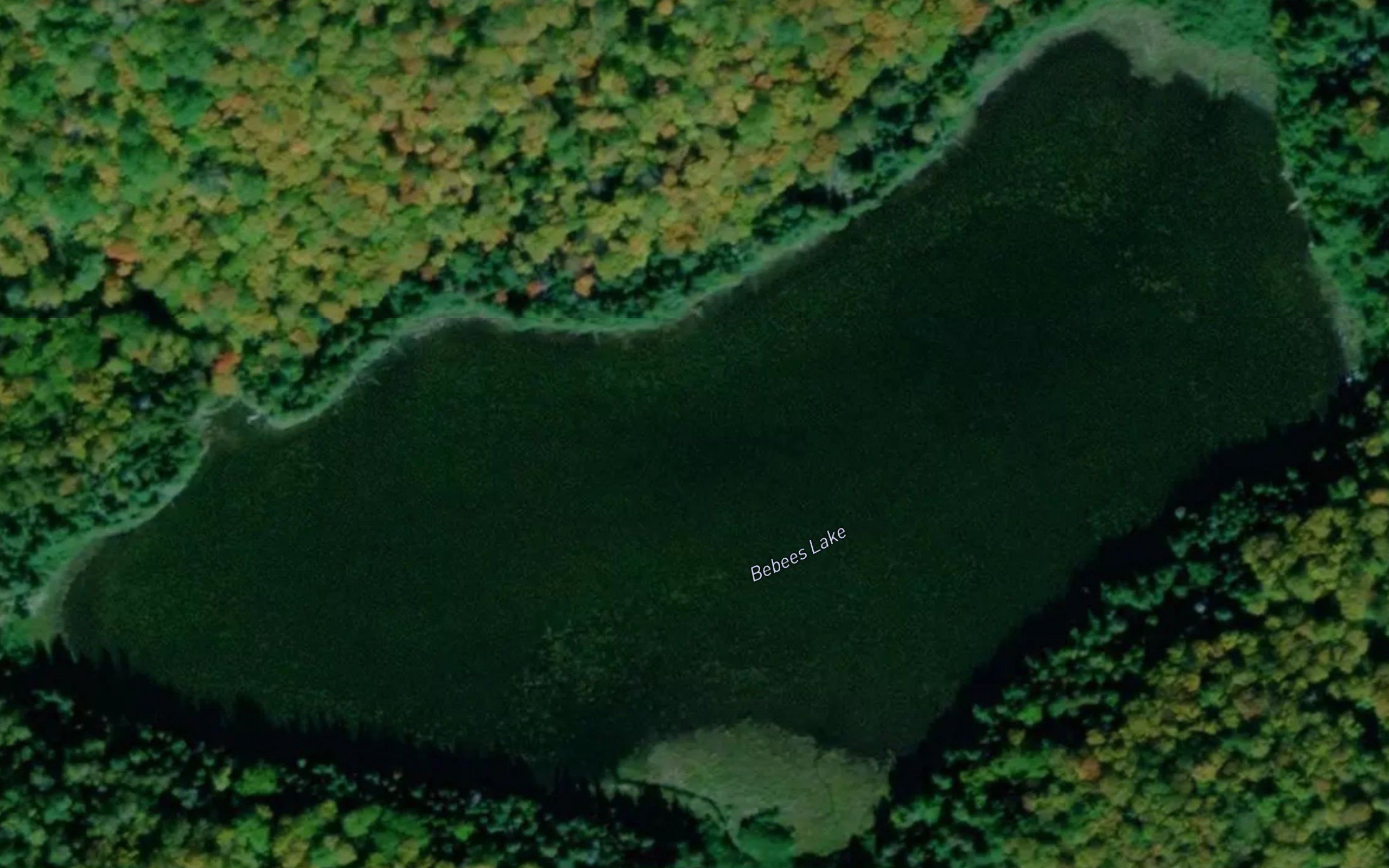 Bebees Lake