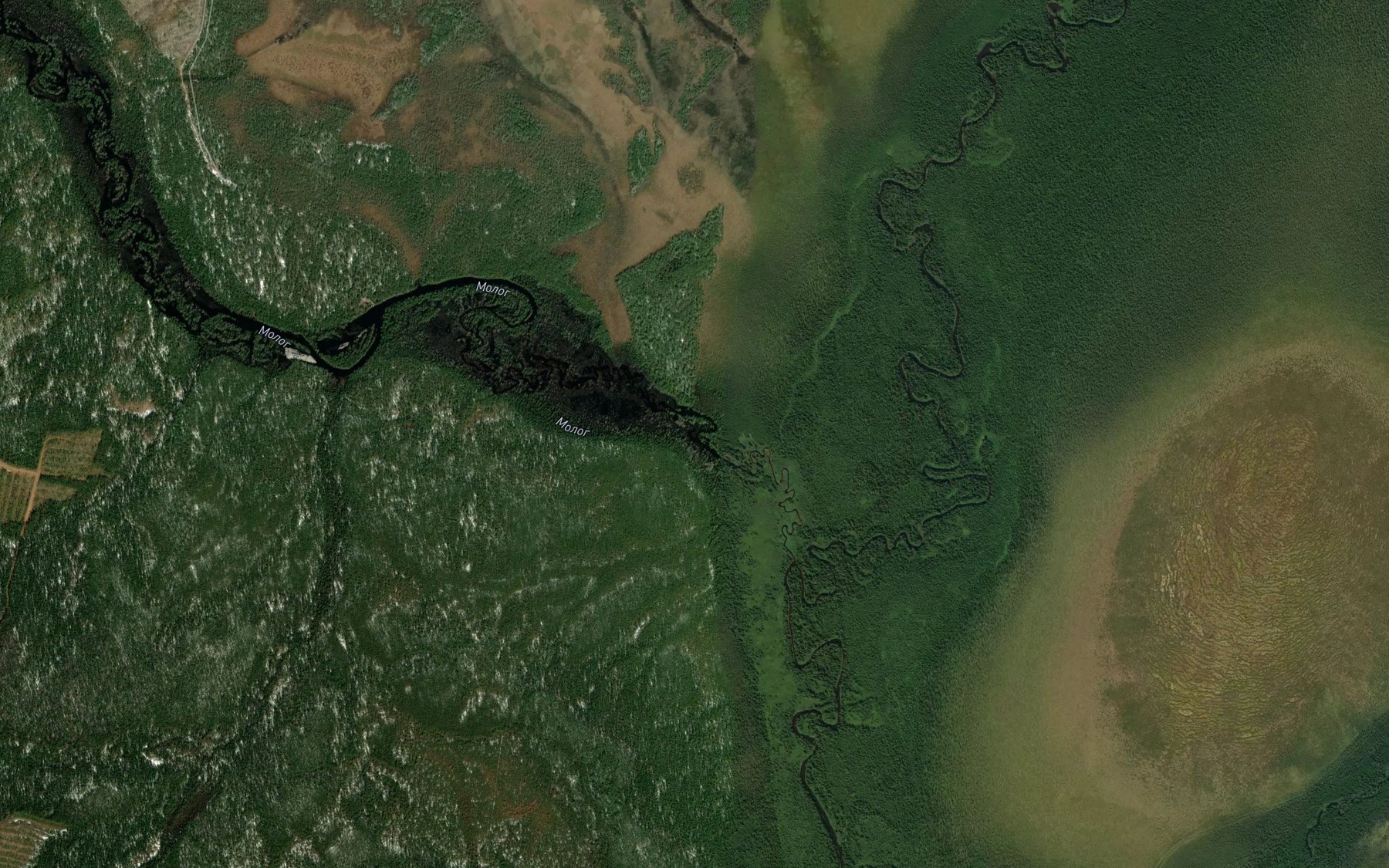 Satellite map of the Molog