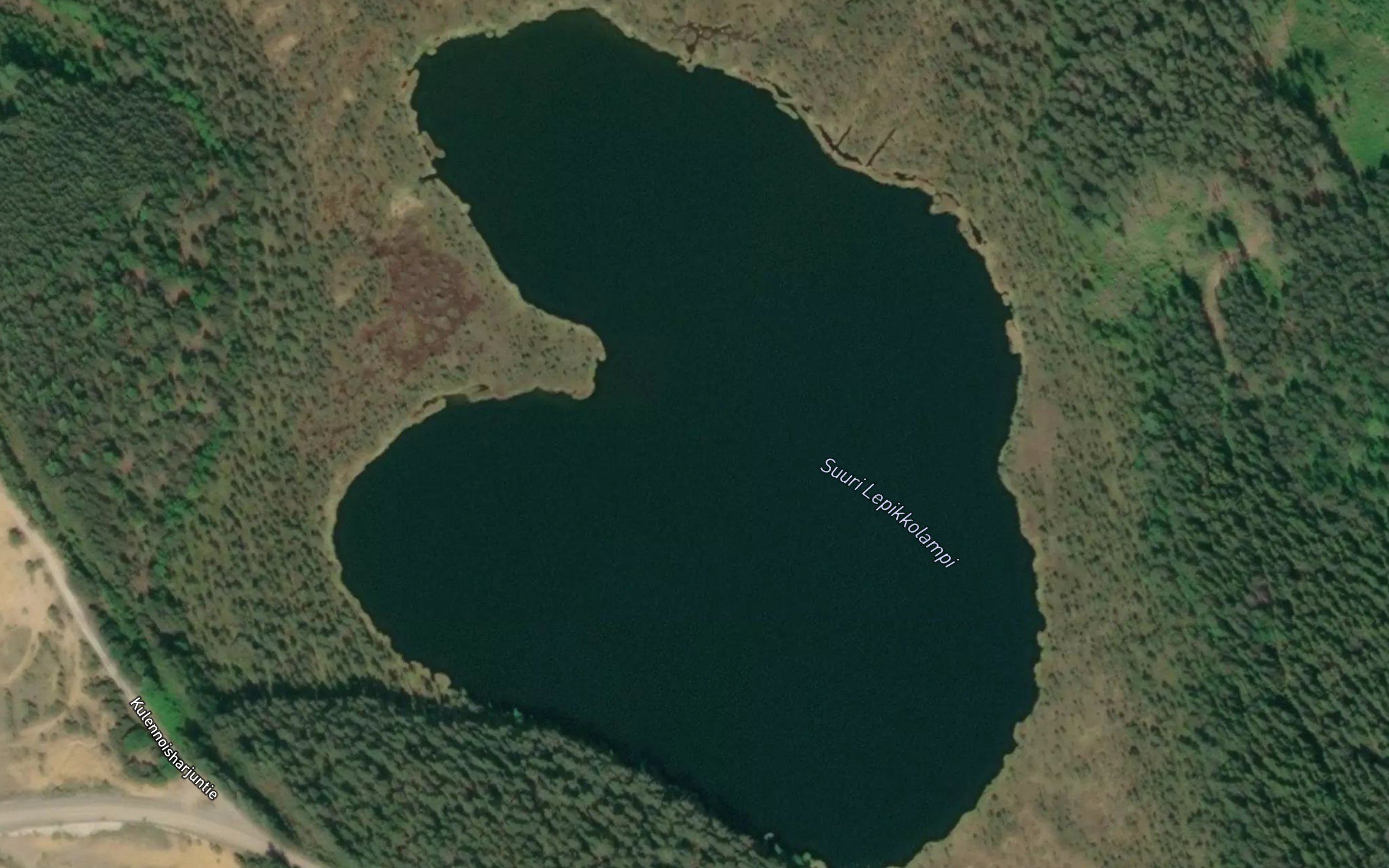 Suuri Lepikkolampi