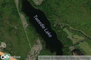 Tweedie Lake