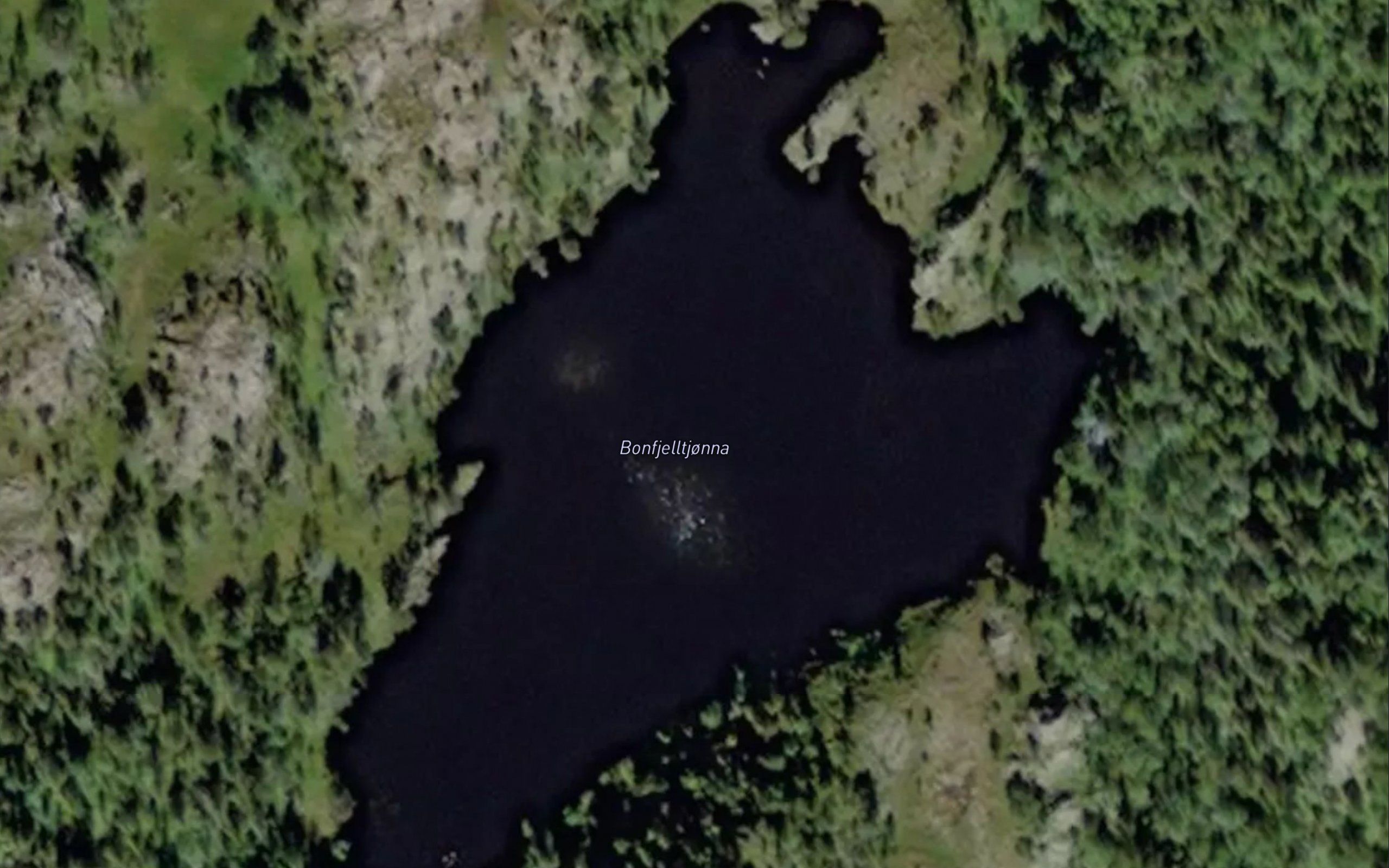 Bonfjelltjorna