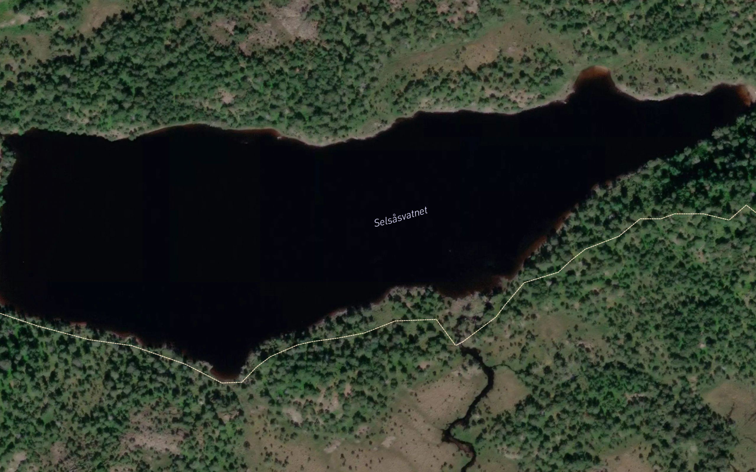 Selsavatnet