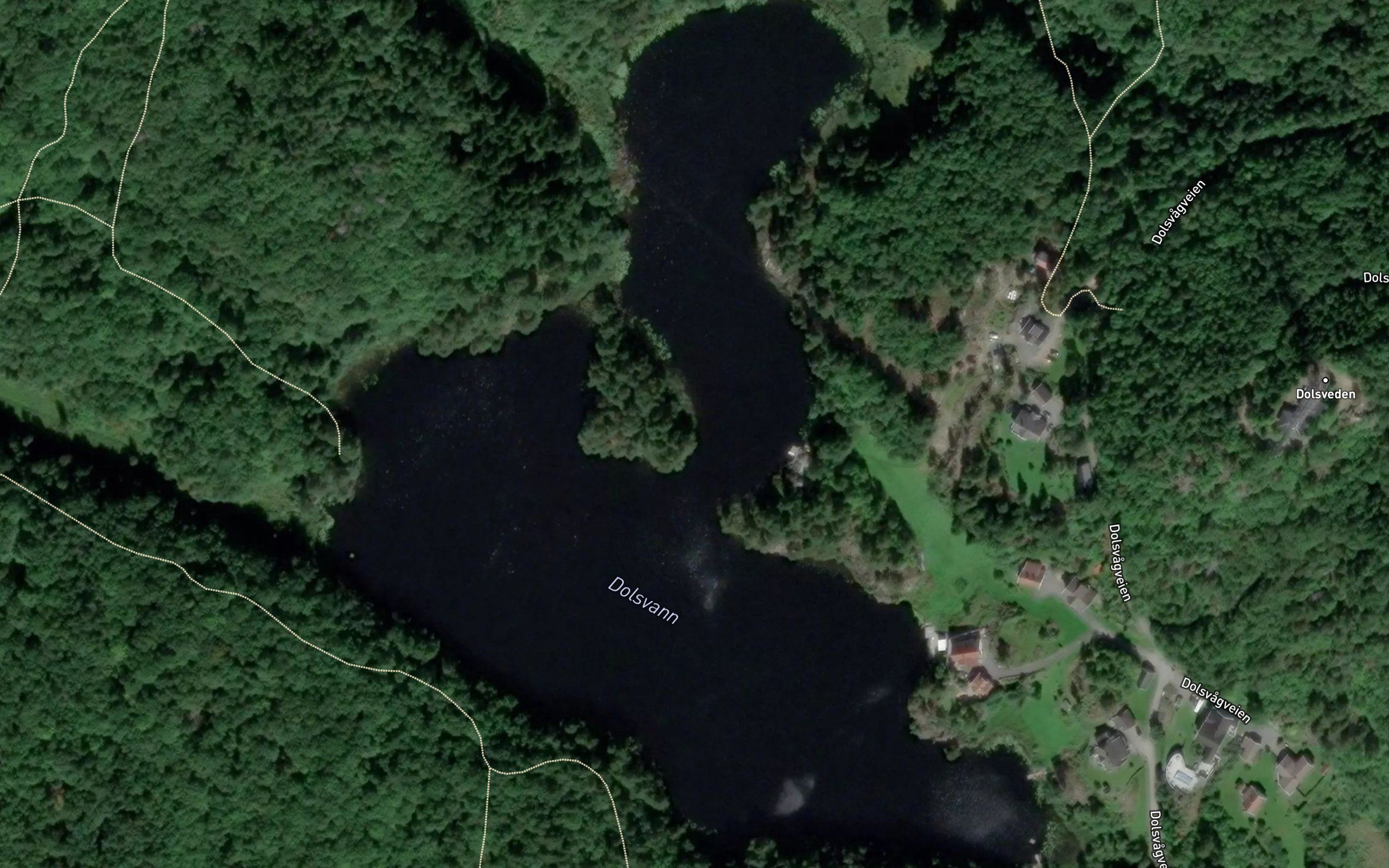 Dolsvann