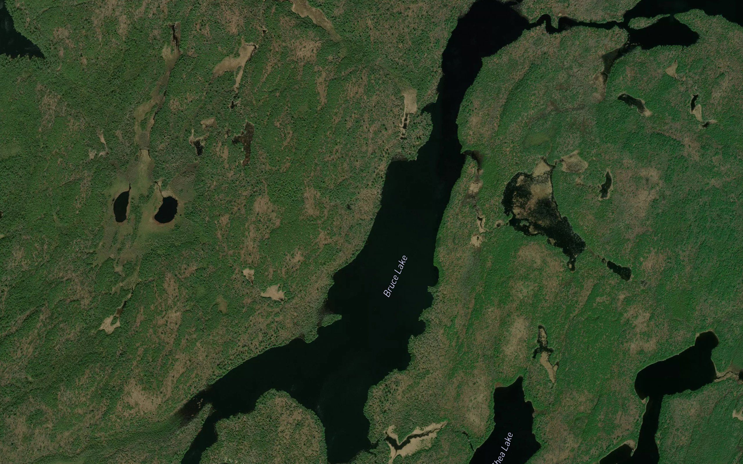 Bruce Lake