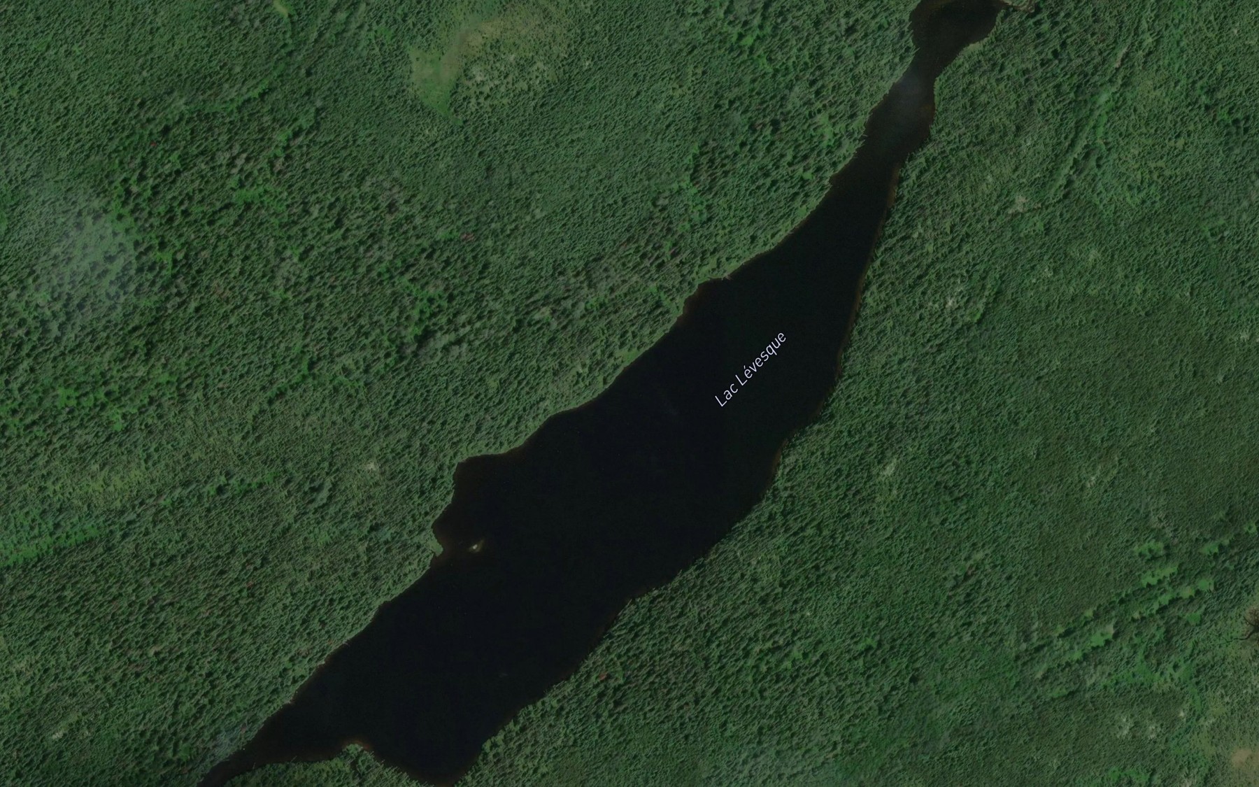 Satellite map of the Lac Levesque