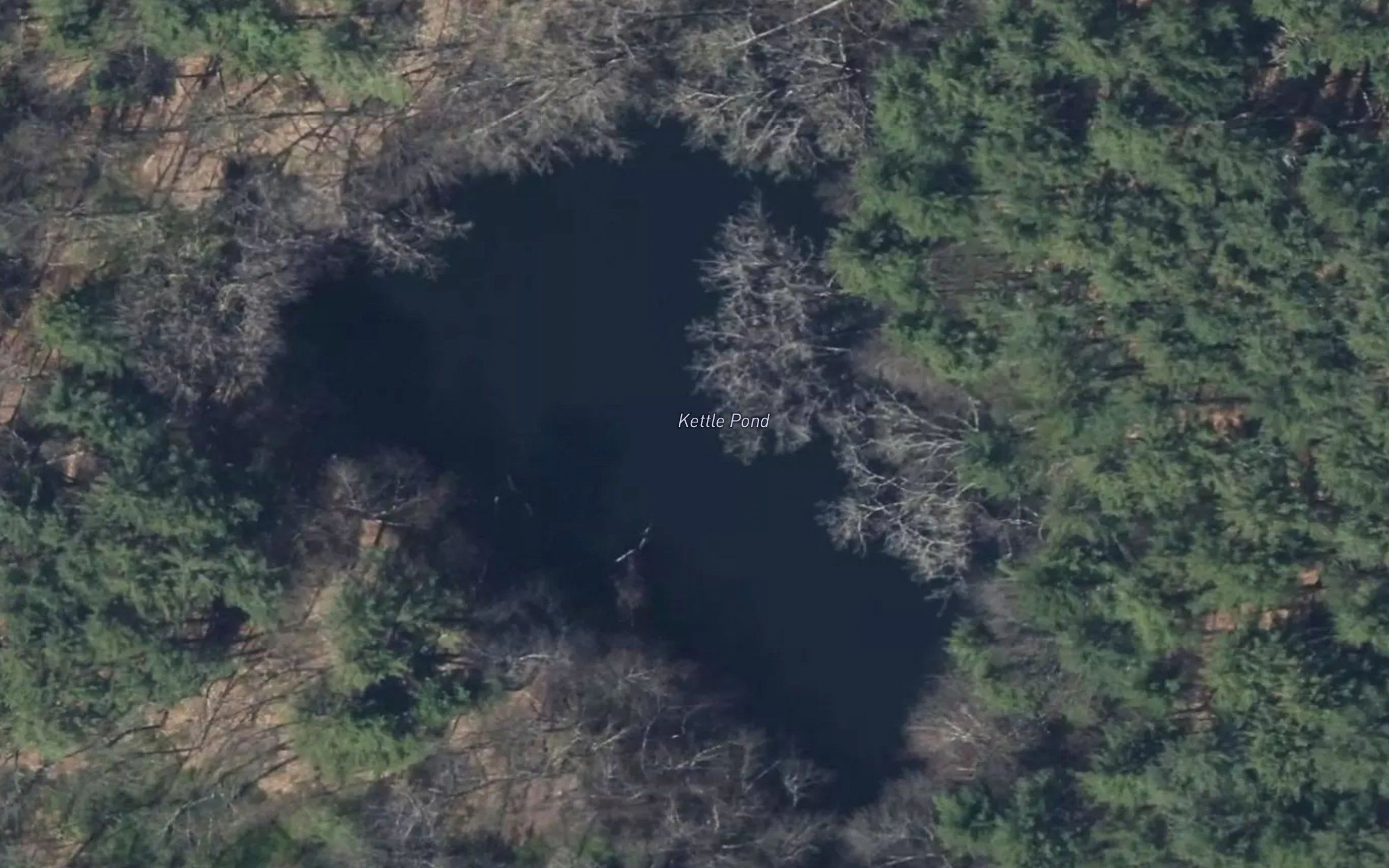 Kettle Pond