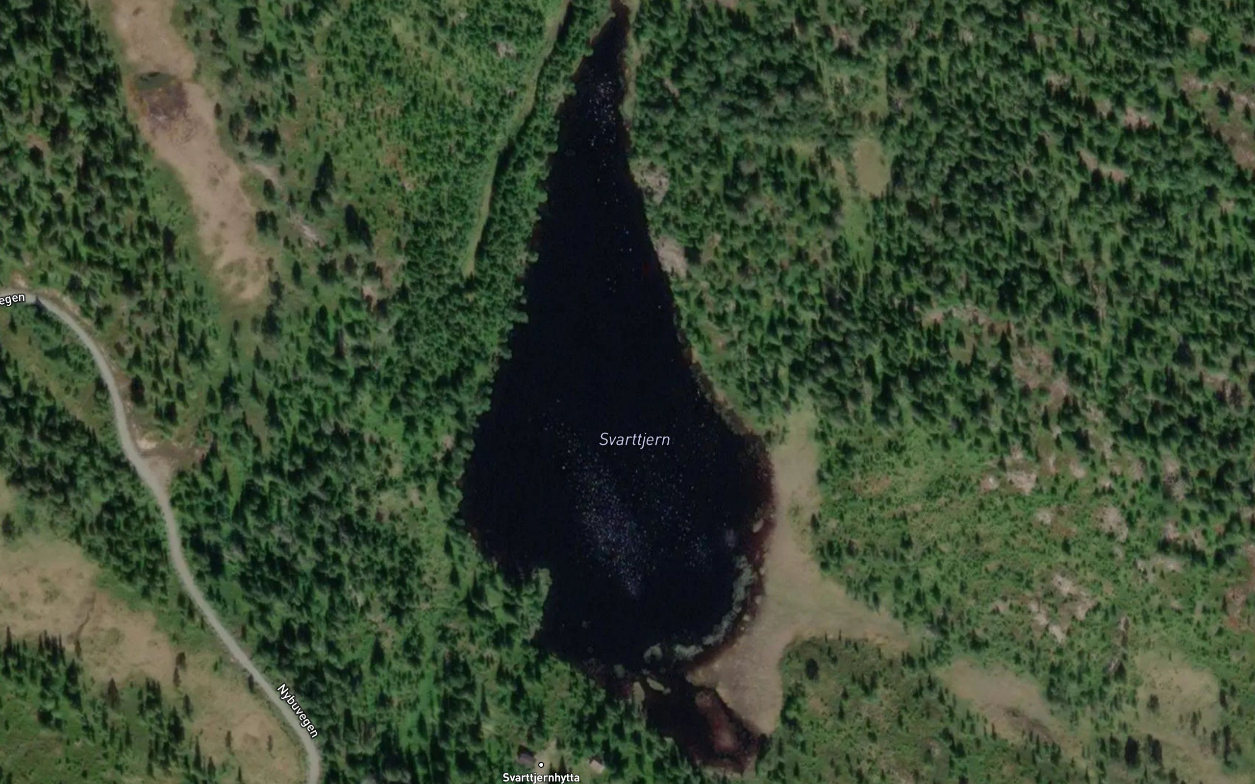 Svartetjern