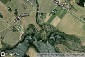 Leppijoki