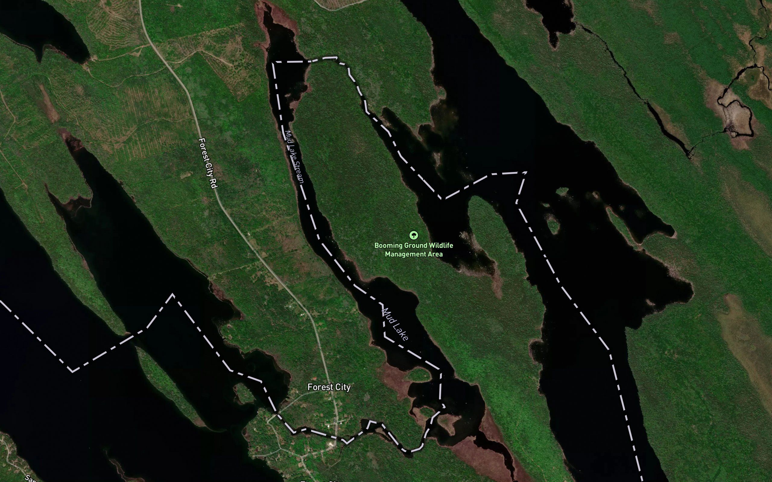 Mud Lake Stream