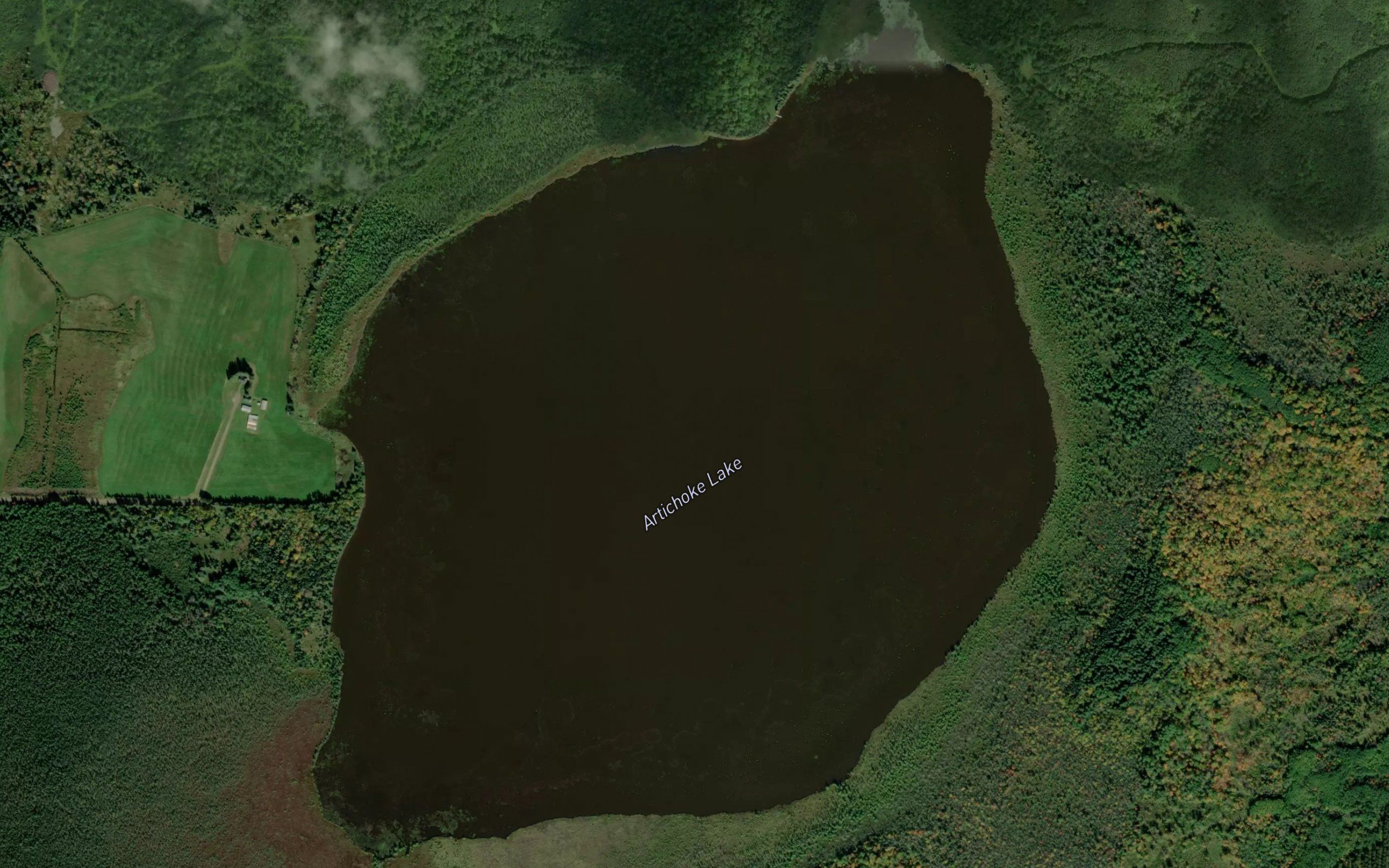 Artichoke Lake