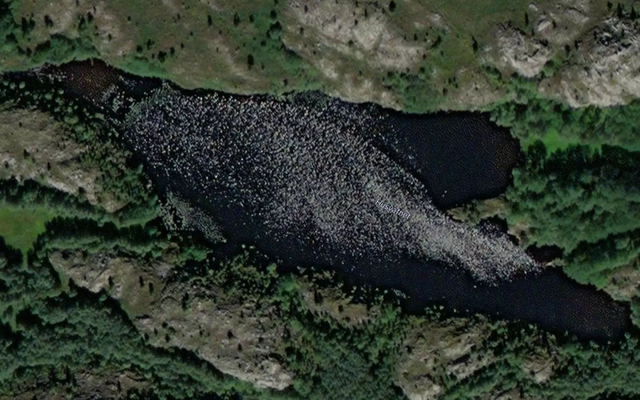 Husvatnet