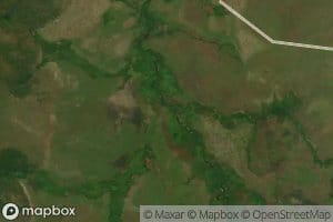 Mpudi