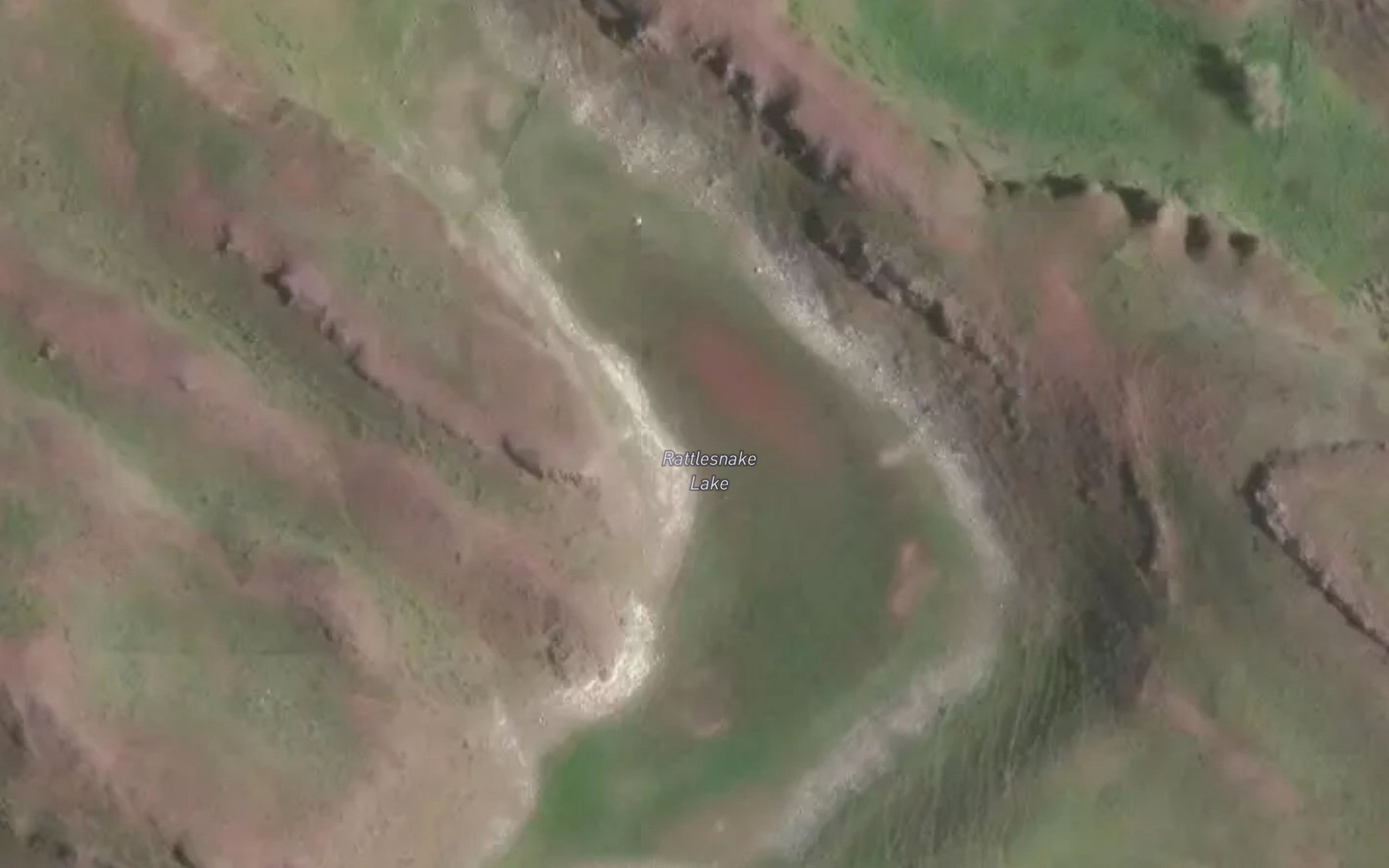 Satellite map of the Rattlesnake Lake