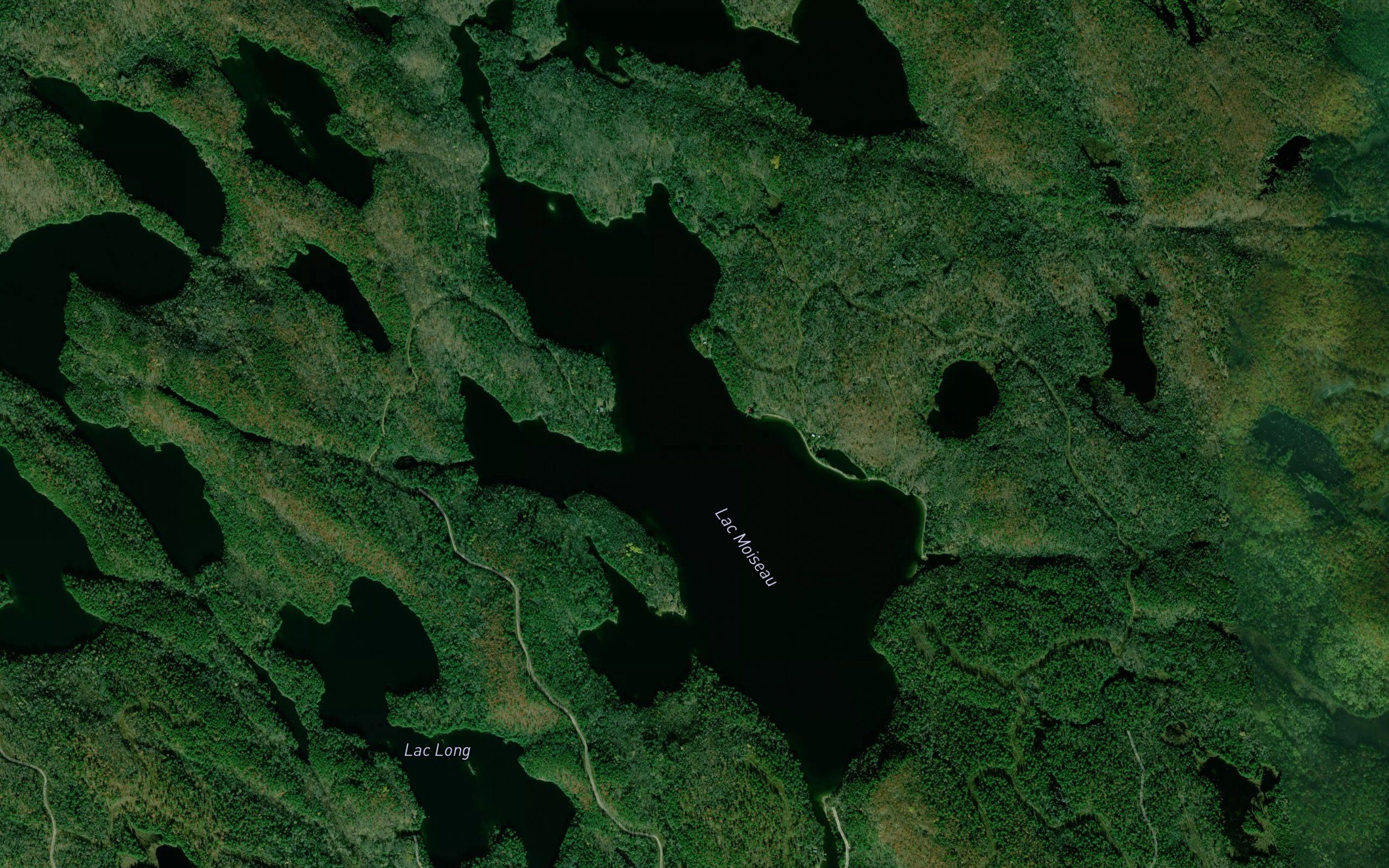 Lac Moiseau