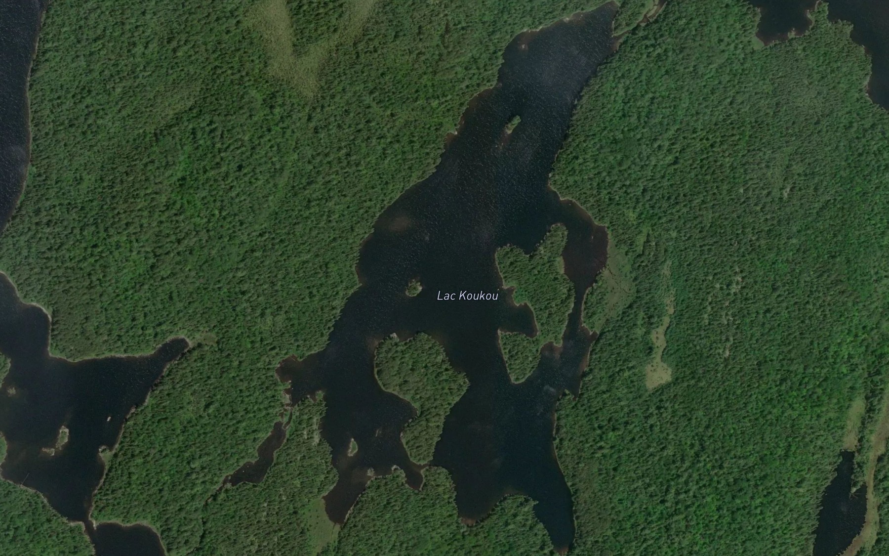 Satellite map of the Lac Koukou