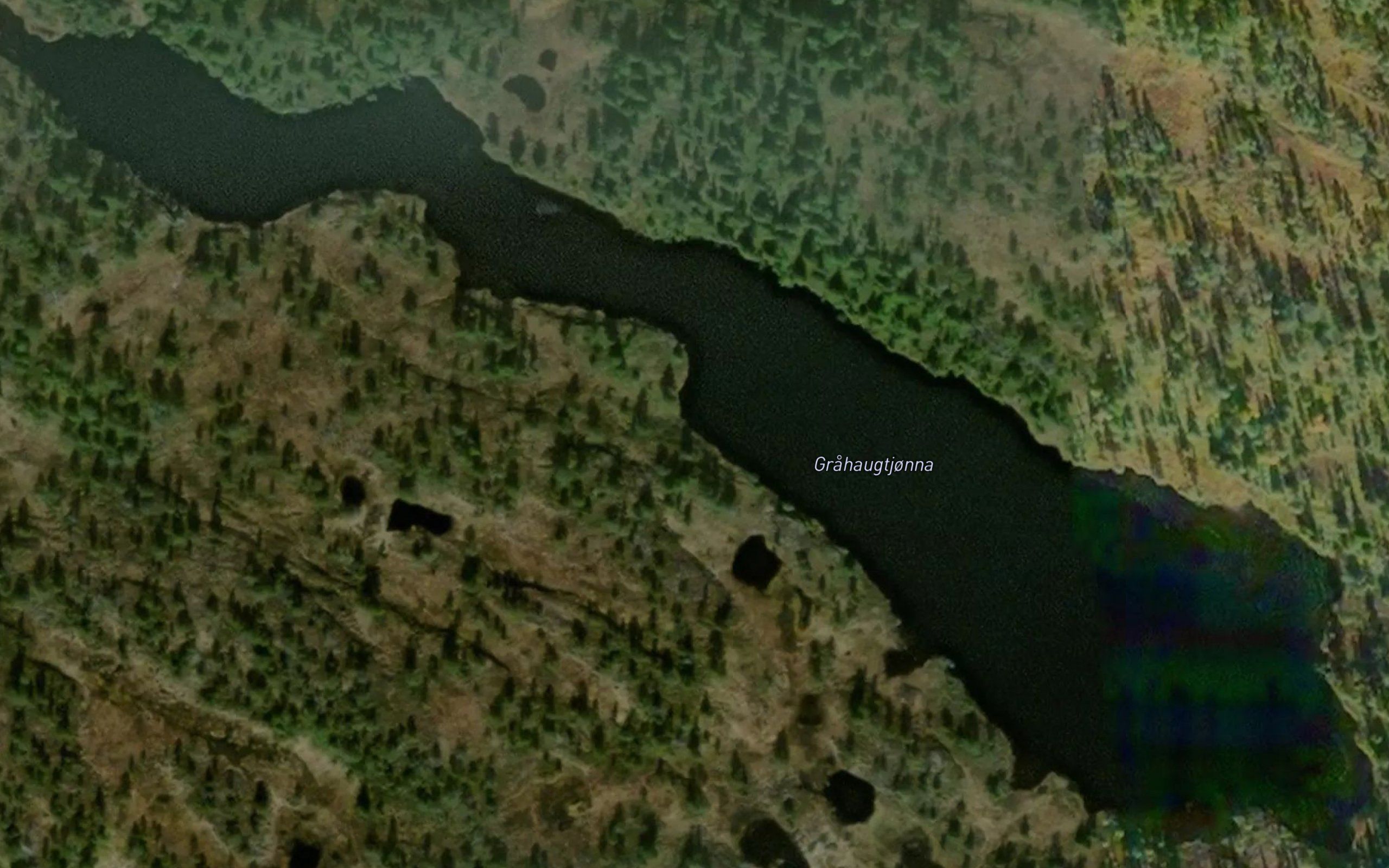 Grahaugtjorna