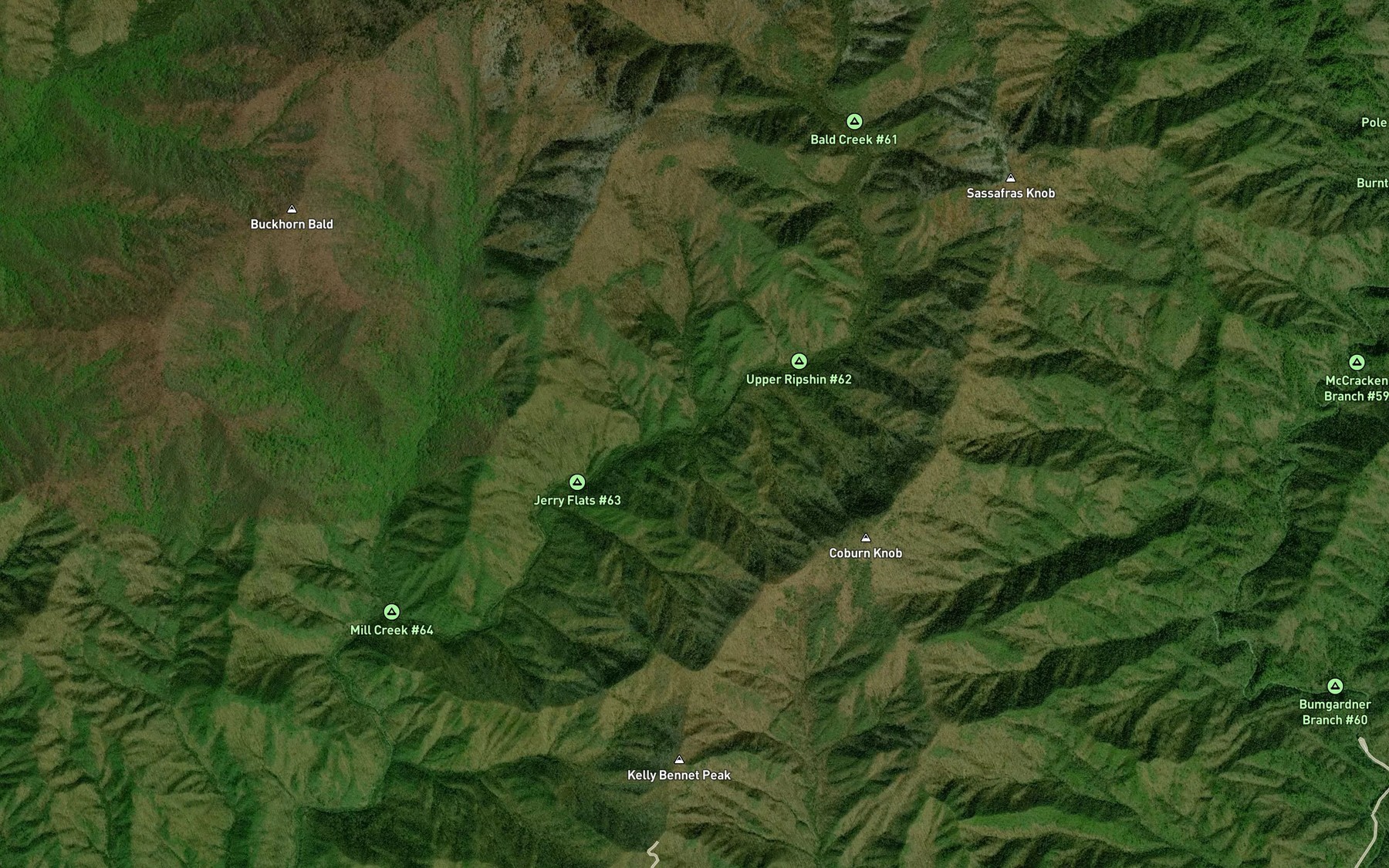Satellite map of the Lower Ripshin Branch