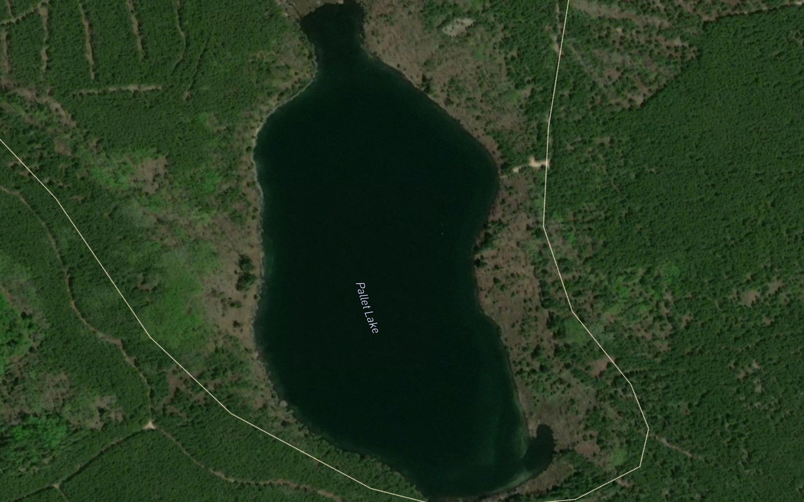 Pallet Lake