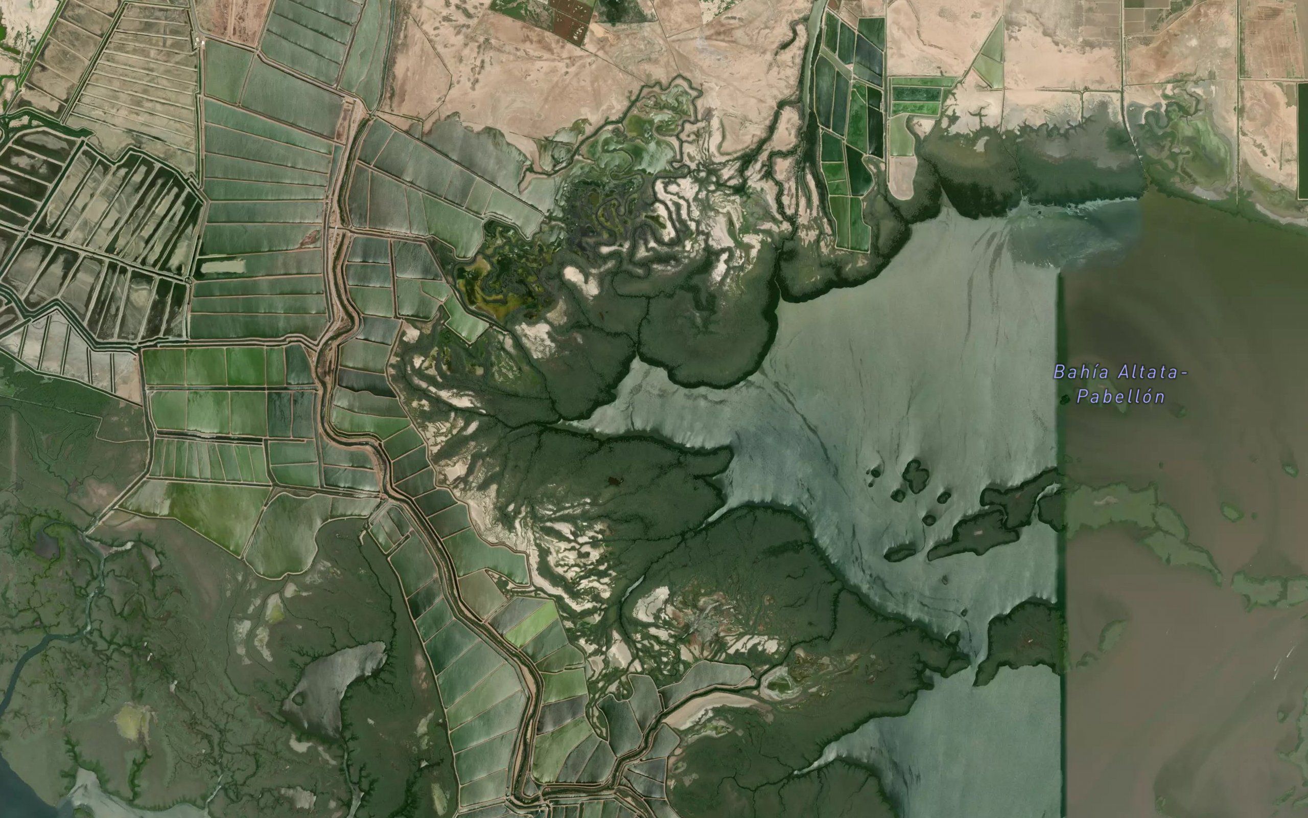 Ensenada Carnevaca
