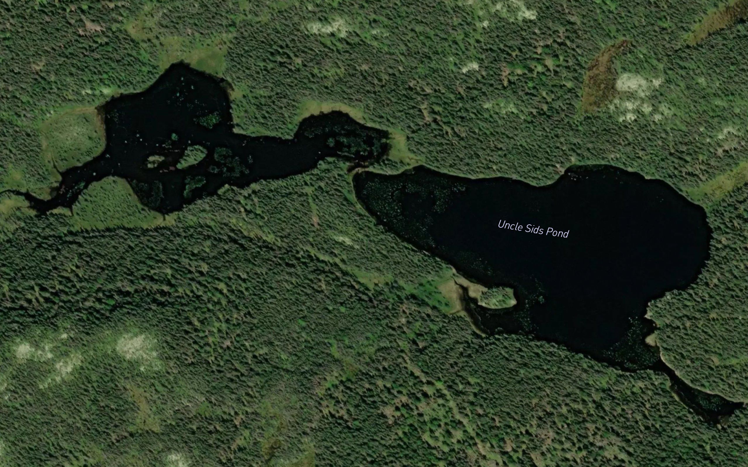 Uncle Sids Pond