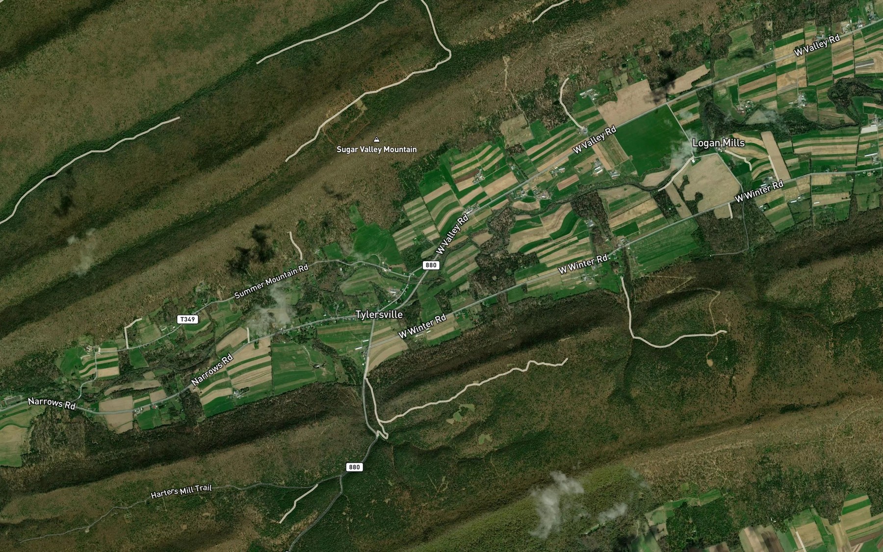 Satellite map of the Tylersville Spring