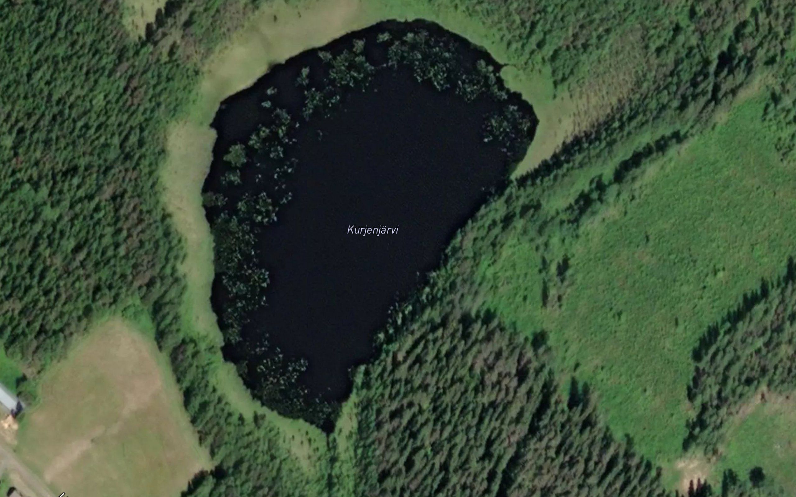 Kurjenjarvi