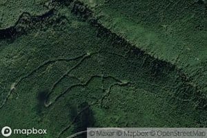 Vegetation Creek