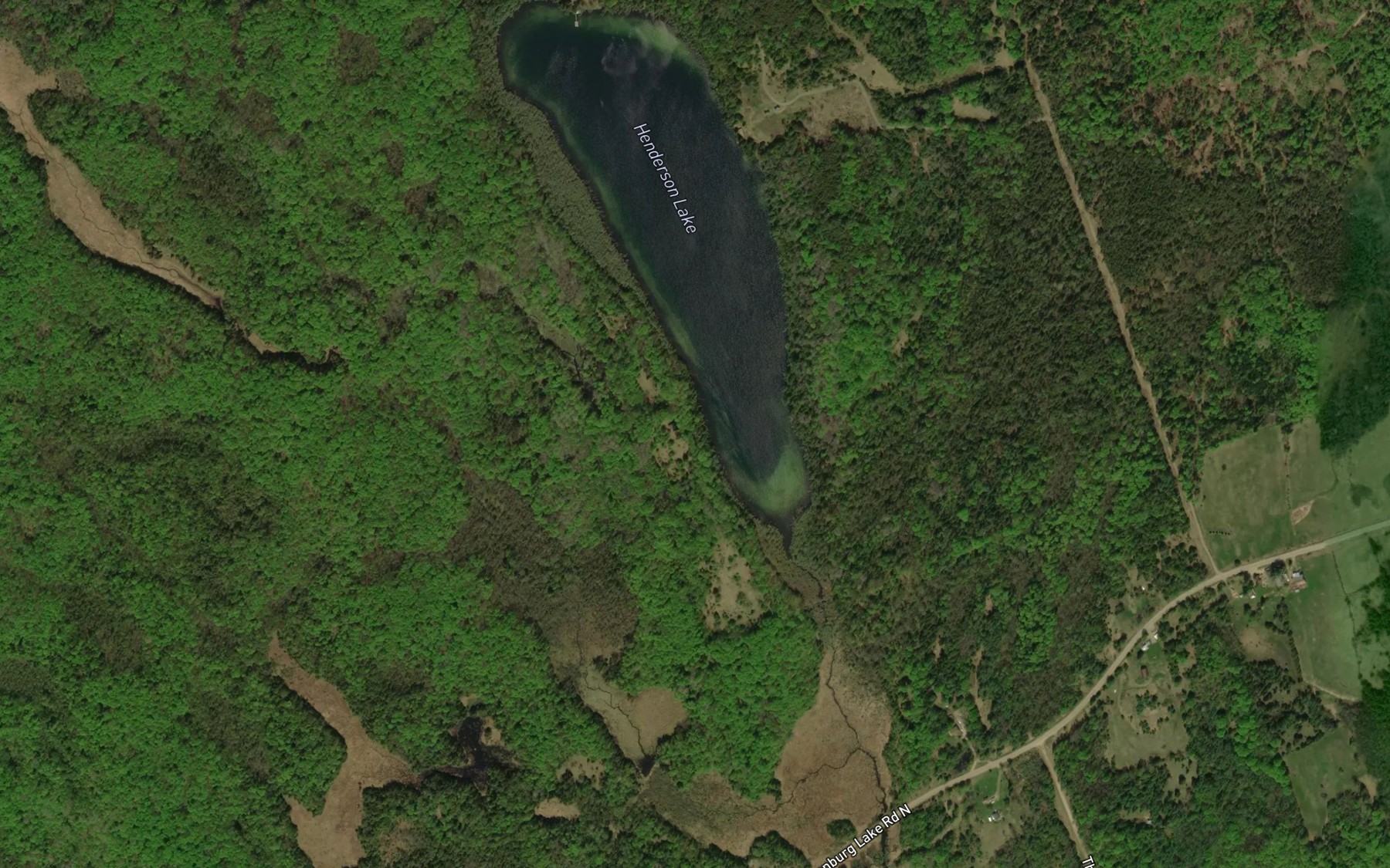 Satellite map of the Henderson Lake