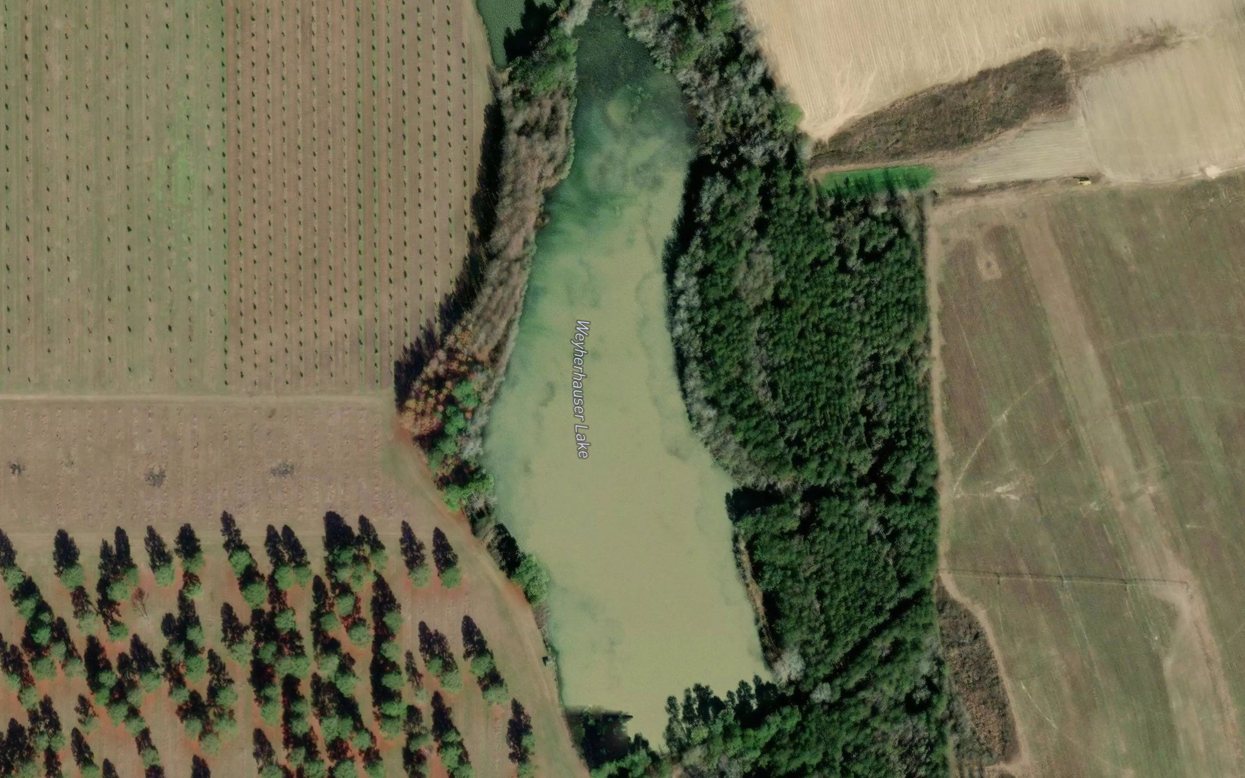 Weyherhauser Lake