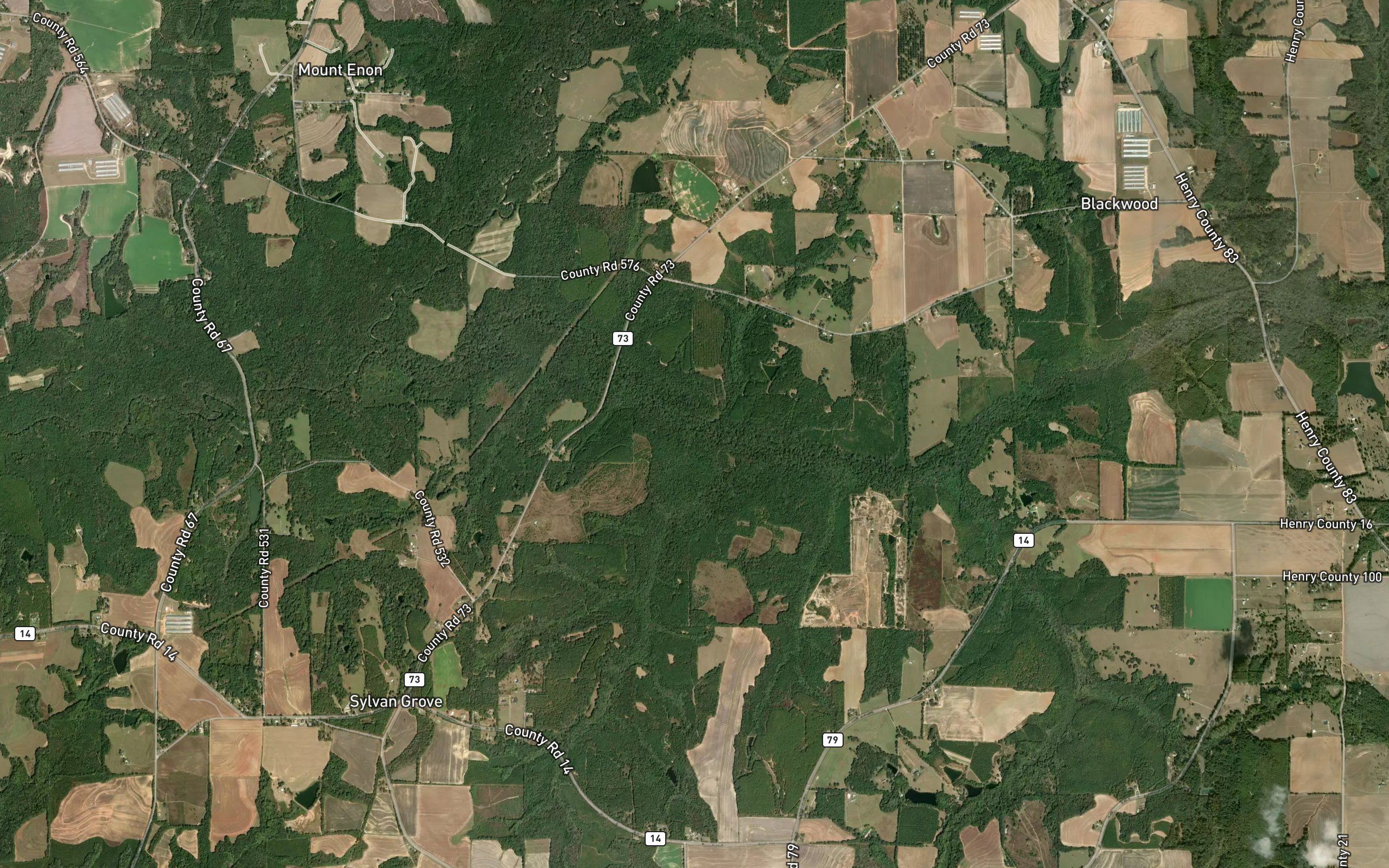 Bay Log Creek