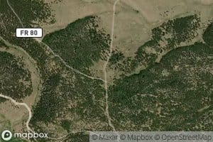 Cisneros Park Spring