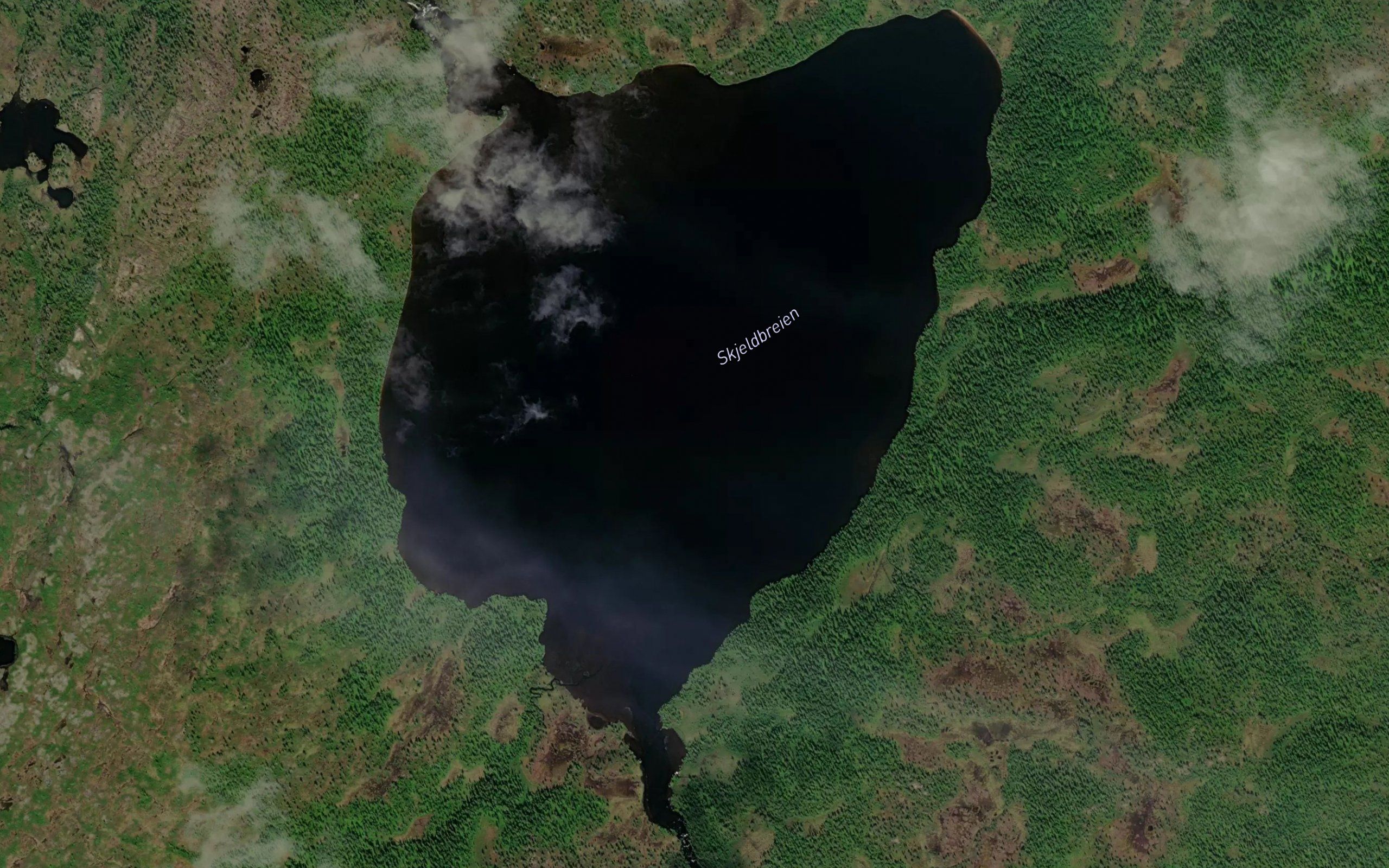 Skjeldbreien