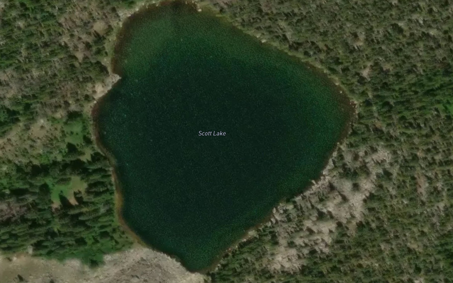 Satellite map of the Scott Lake
