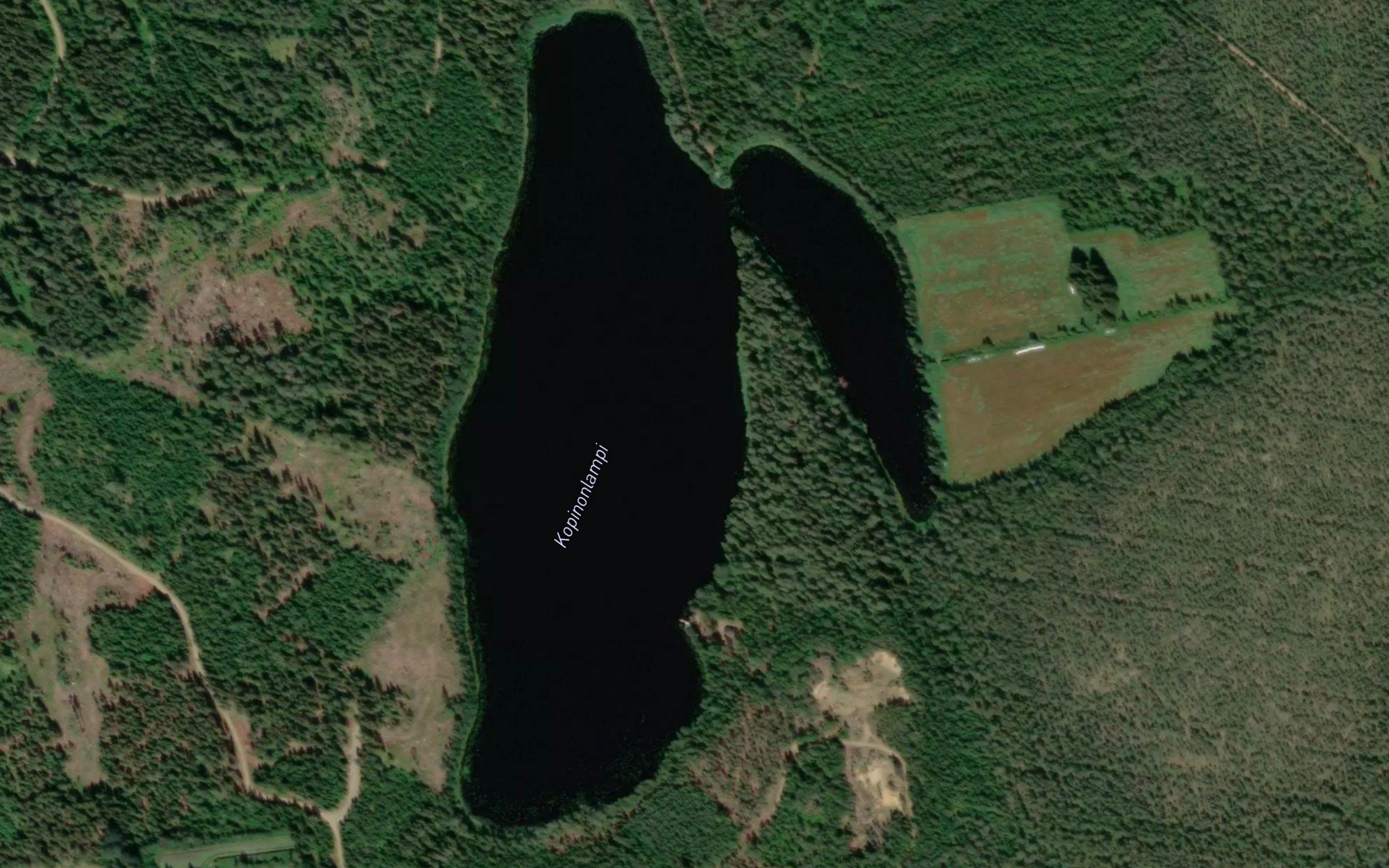 Kopinonlampi
