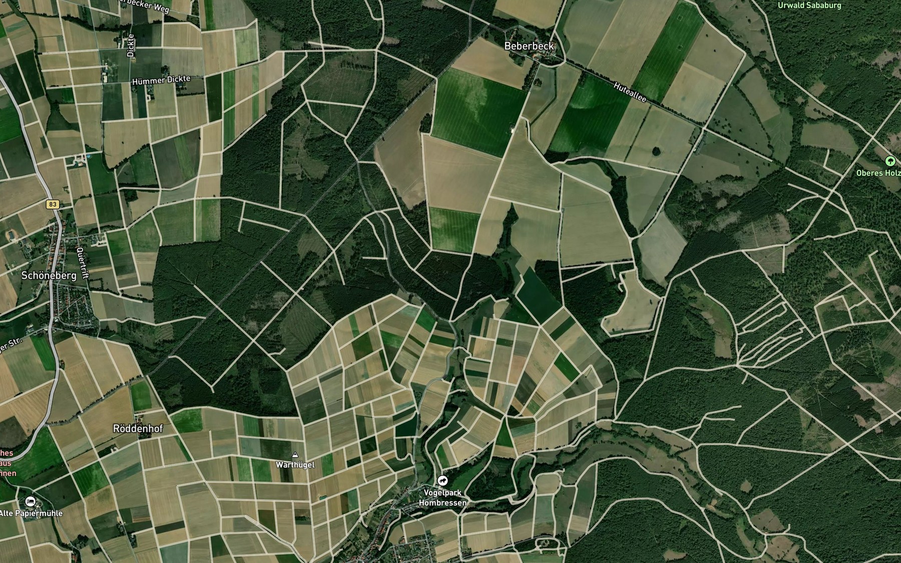 Satellite map of the Ganse Pfuhl
