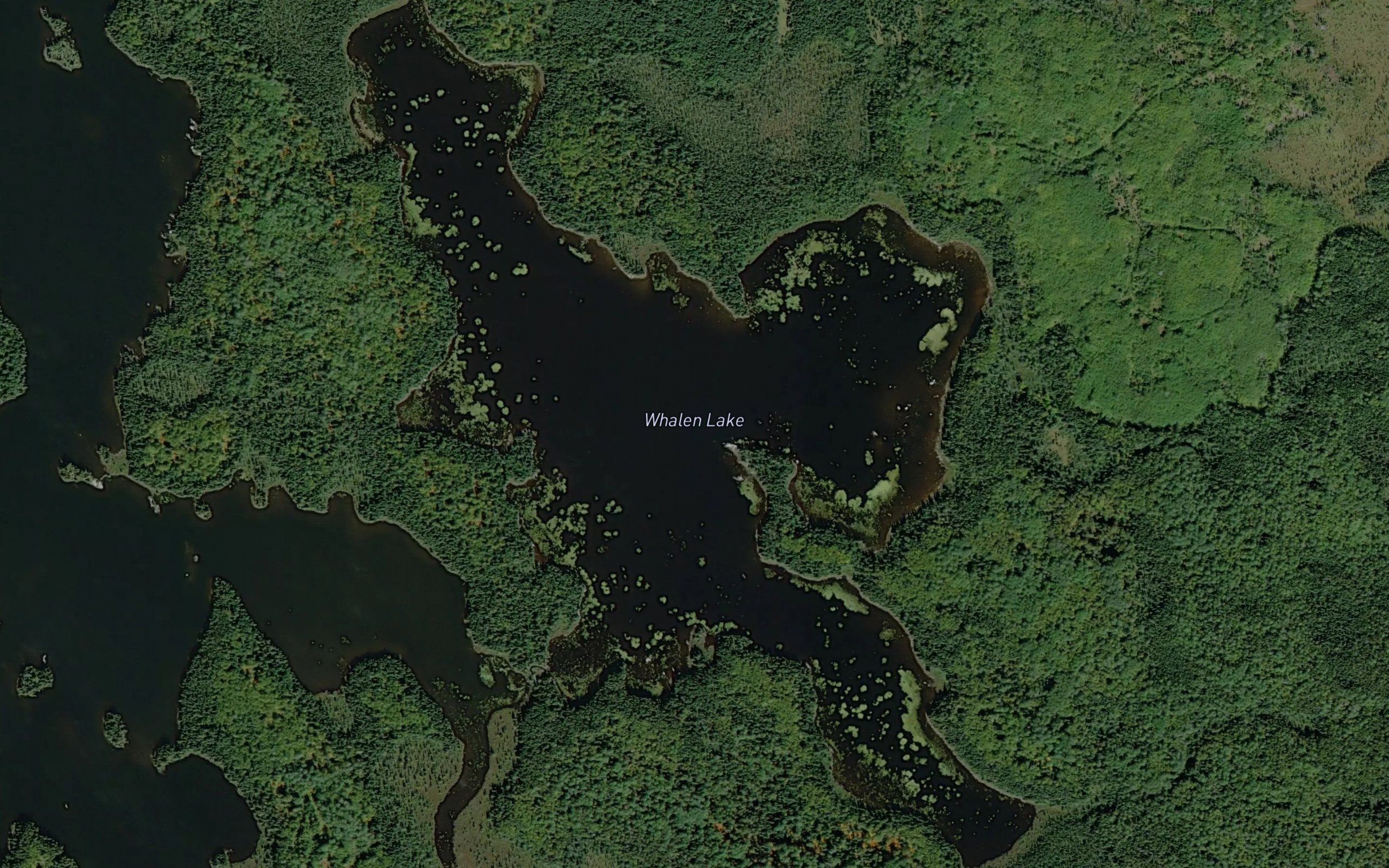 Whalen Lake