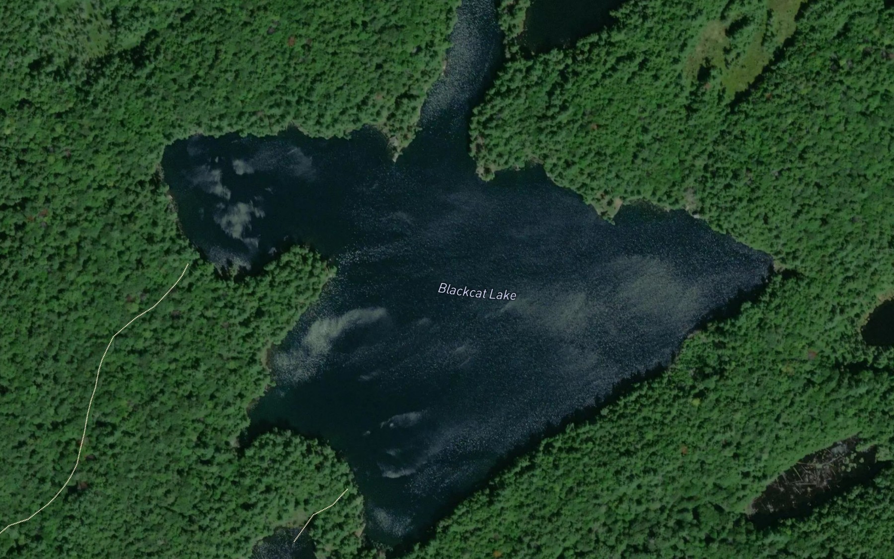Satellite map of the Blackcat Lake