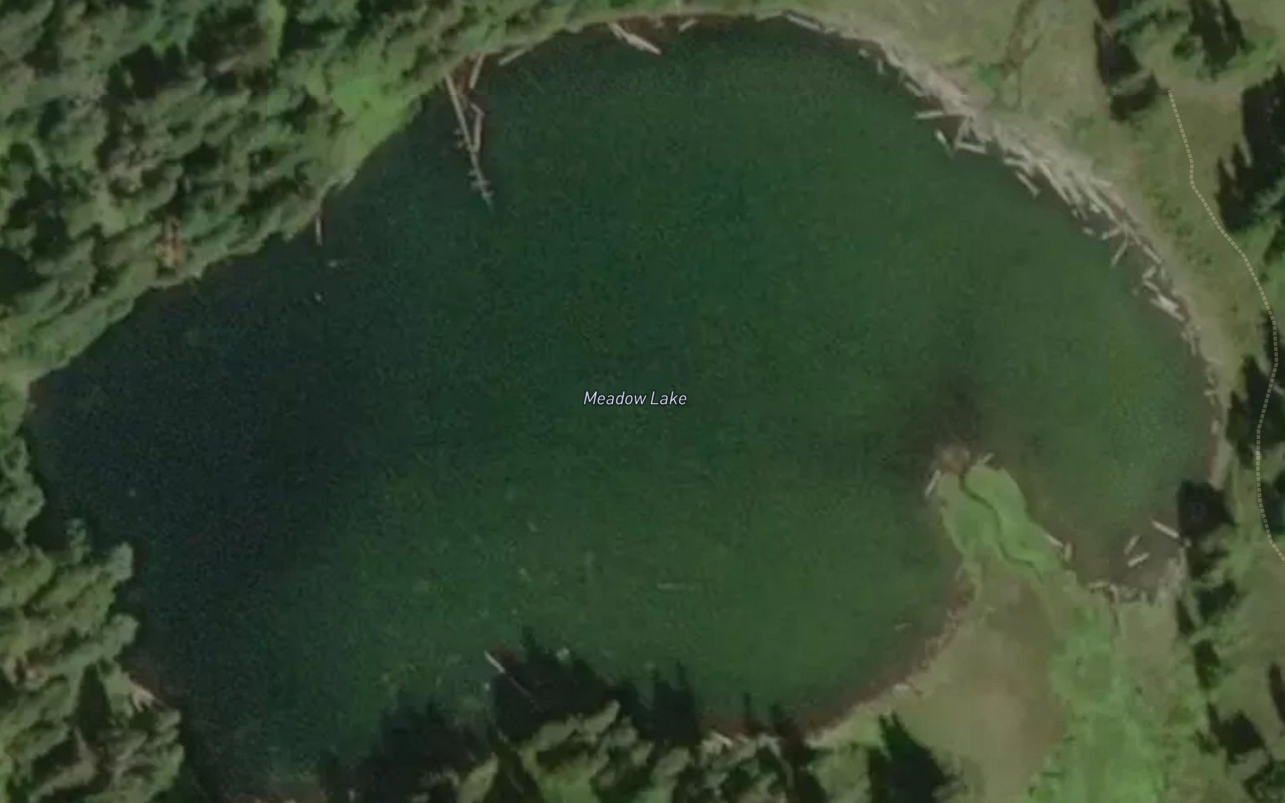 Meadow Lake