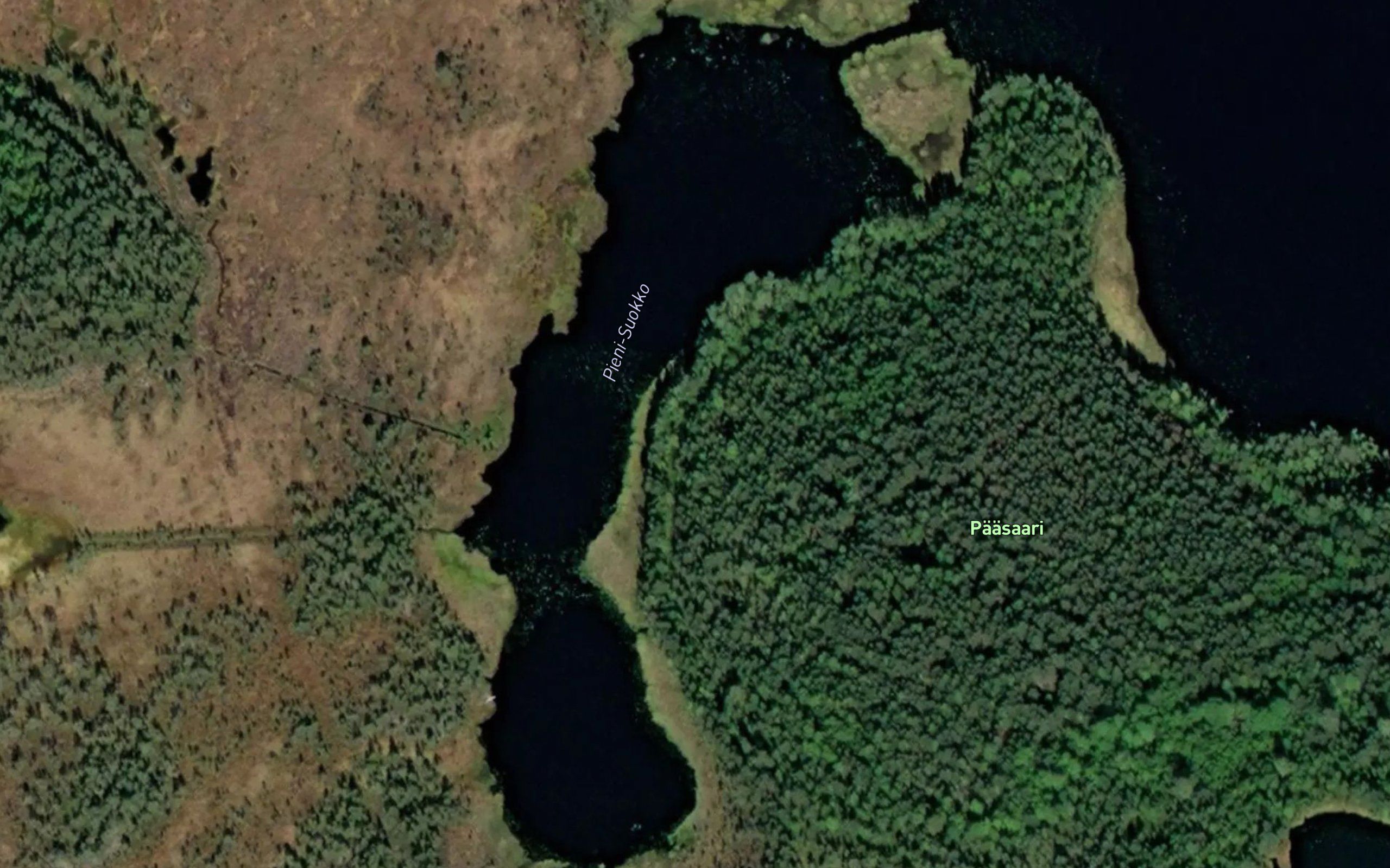Pieni-Suokko