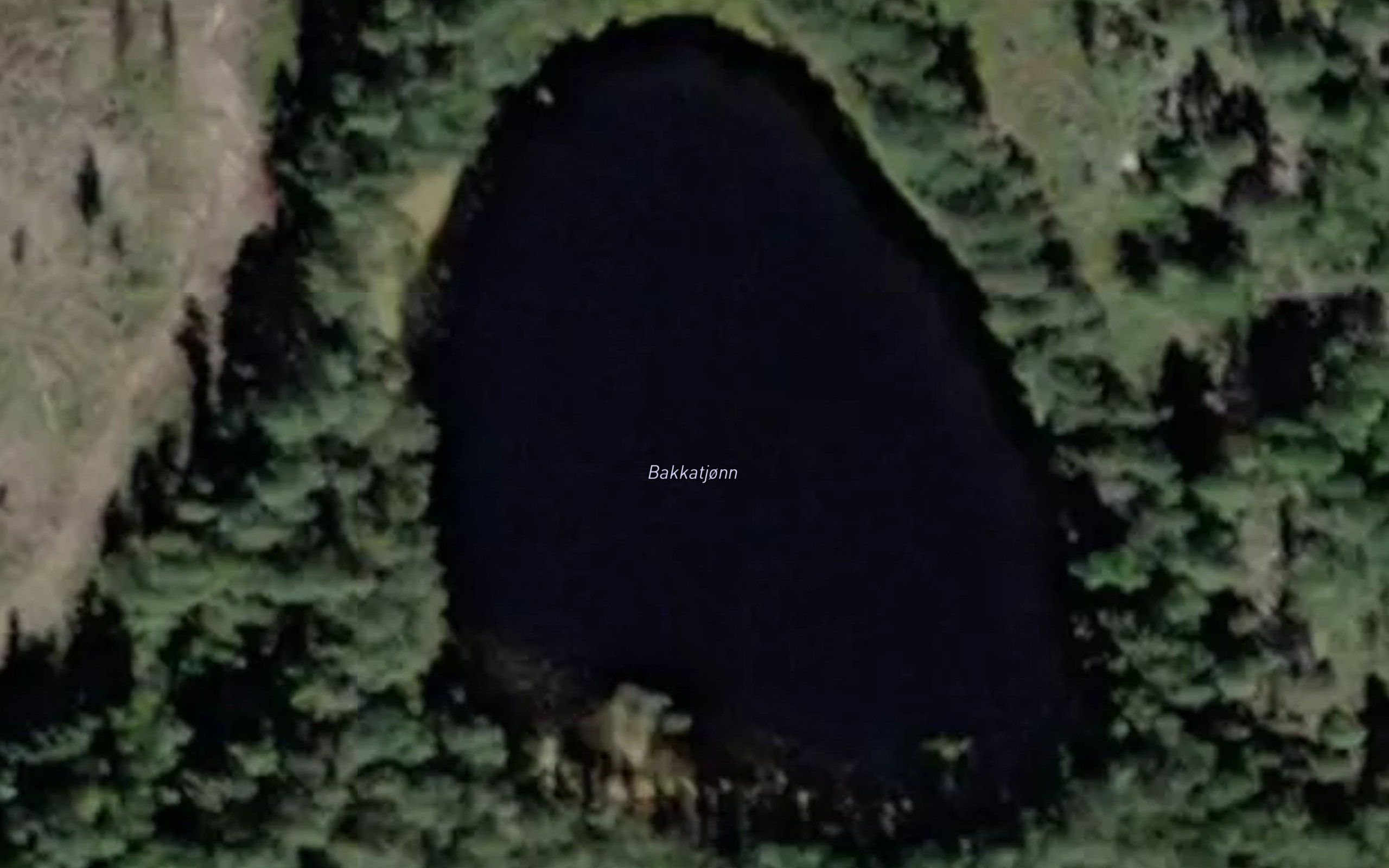 Bakkatjorn