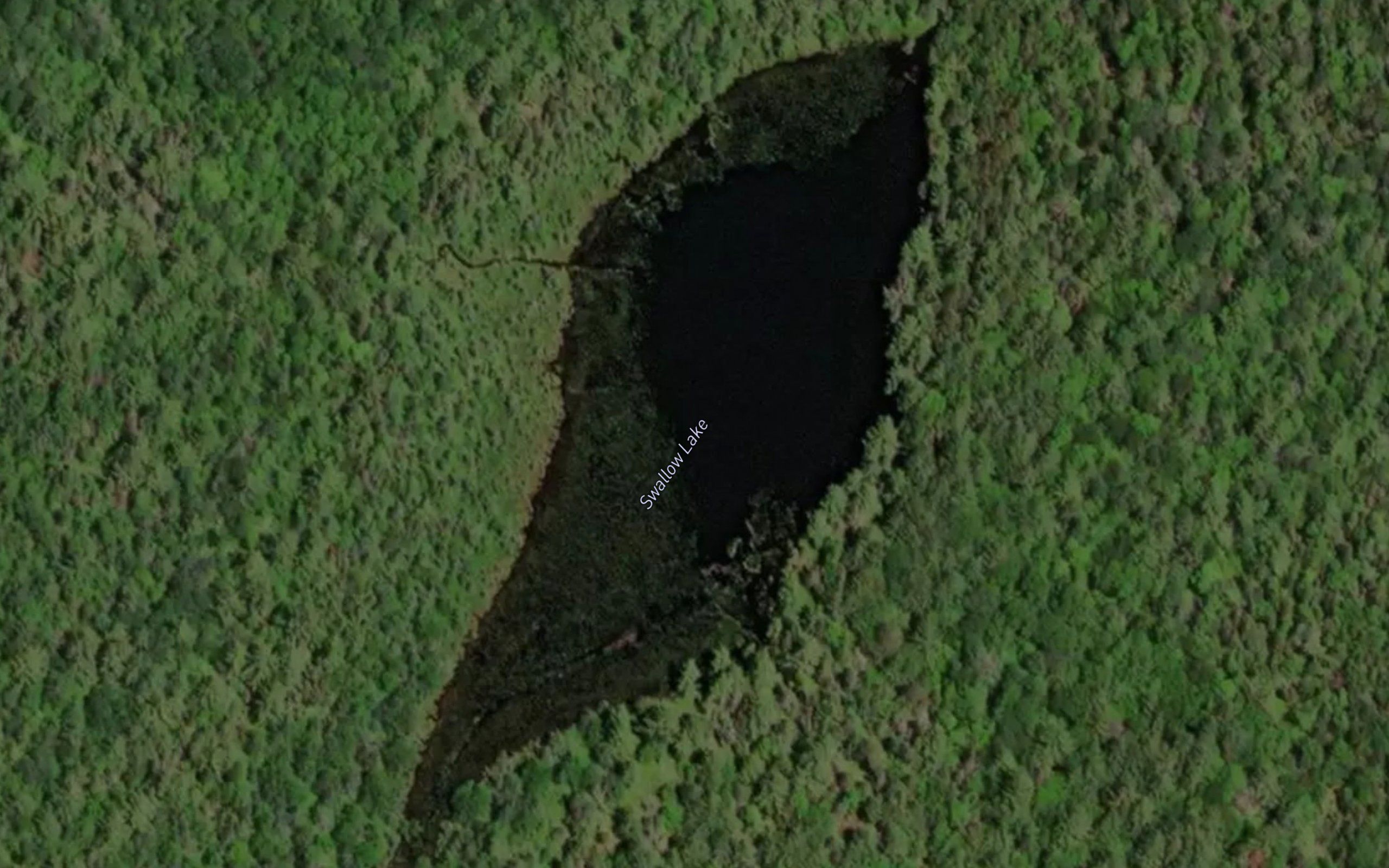 Swallow Lake