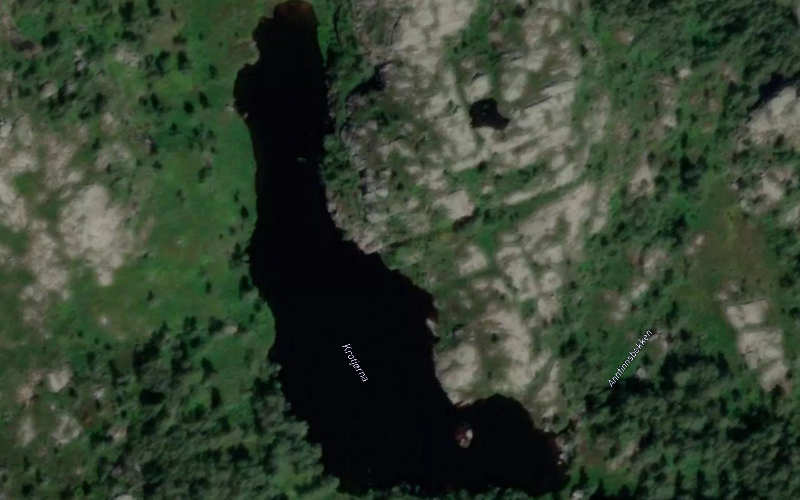 Krotjorna
