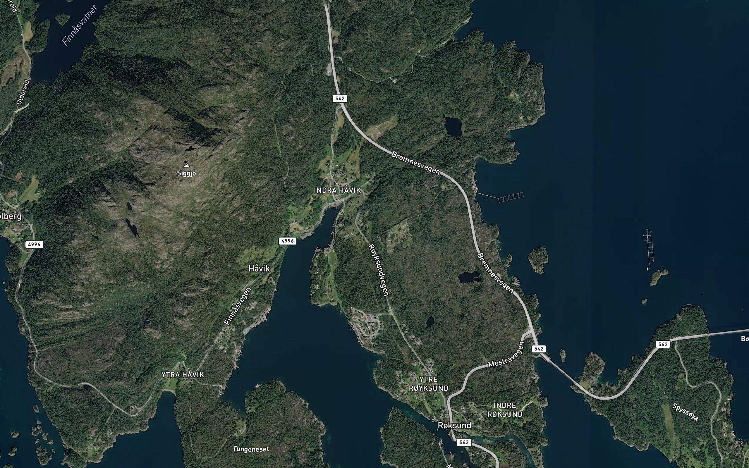 Haviktjorna