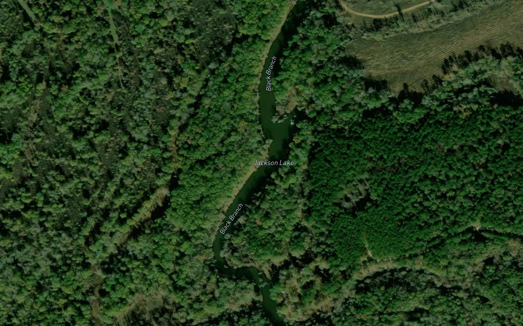 Satellite map of the Jackson Lake