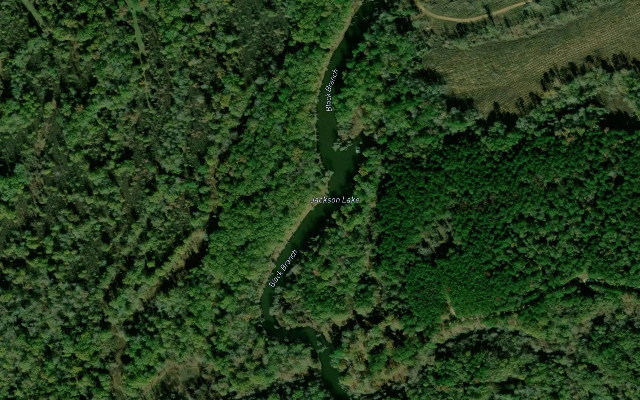 Jackson Lake