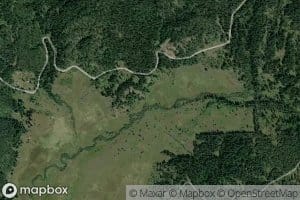 Orchard Creek