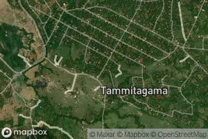 Kuda Tammitagama Wewa