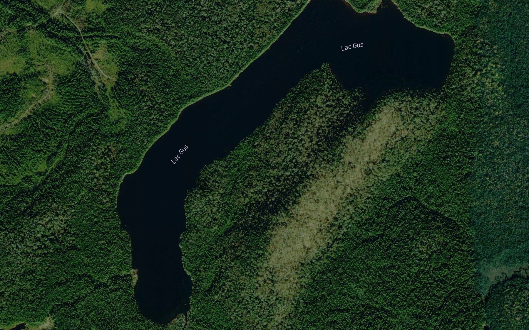 Satellite map of the Lac Gus