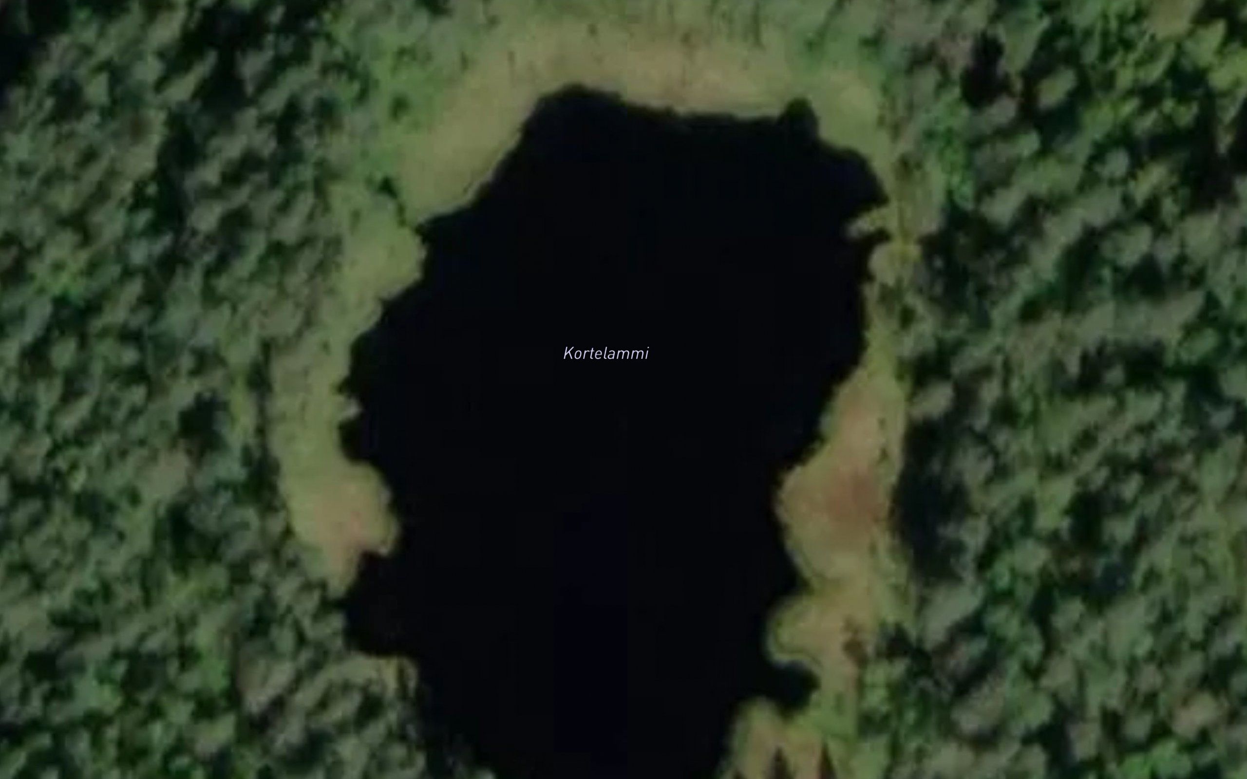 Kortelammi