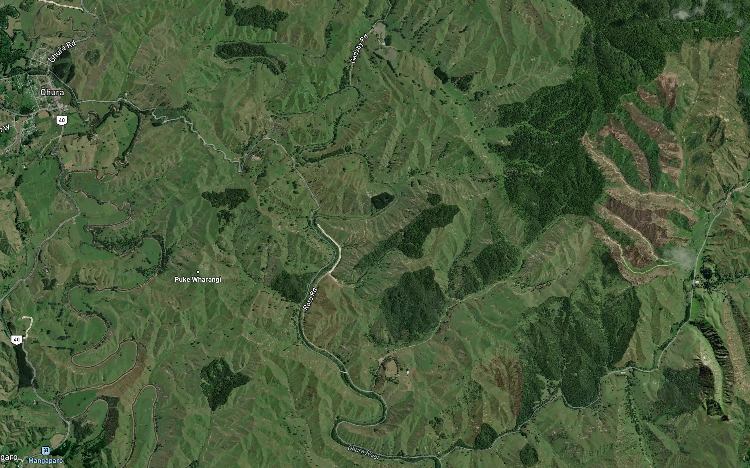 Waipapa Stream